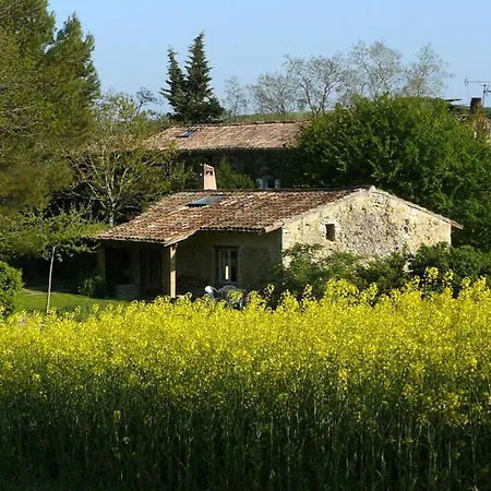 Small Artist's House I Petite Maison D'artiste